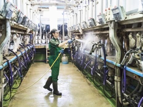 Animal Health and Shelter Hygiene