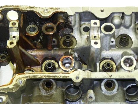 Biological Degreasing Products