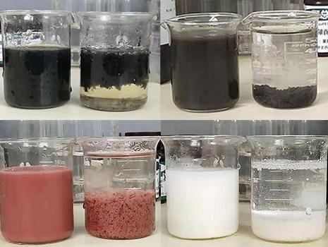 Anionic Polyelectrolytes