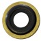 OPTICOR ®  RLS 2500-RG